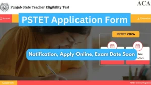 pstet application form